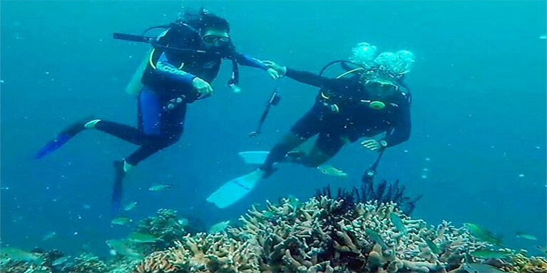 Diving di Kepulauan Seribu